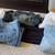MEN JEANS sizes 36x32/ $15 -38x30/ $10- 40X30 $20  PANTS 1 thumbnail