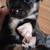 Alaskan Pit bull Puppies 5 thumbnail