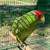 Red Crown Amazon Parrots 3 thumbnail