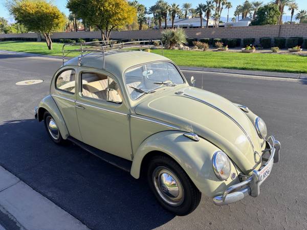 63 VW Beetle 1