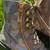 Boots 2 thumbnail