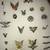 WWII Victory Pins 4 thumbnail