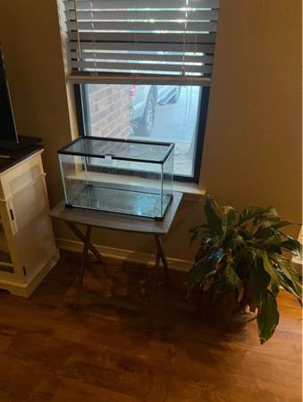 Terrarium 1