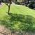 🌿NELSON LAWN SERVICES🌿 5 thumbnail