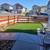 Artificial Turf Installation>>synthetic grass  free estimates 5 thumbnail