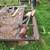 Submersible pump 2 thumbnail