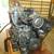 2 gm 20 f yanmar 1 thumbnail