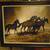 Wild Stallion Framed Canvas 4 thumbnail