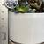 succulent plant arrangement in white ceramic planter 3 thumbnail