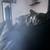 Black Brindle Frenchie 5 thumbnail