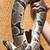 Rehoming Gaia ball python 7 thumbnail