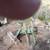 John Deere 4wd 850  Parts 16 thumbnail