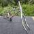 Monty BI-1307 219 ALP Bike Trials Frame & Fork 1 thumbnail