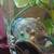 Snails 2 thumbnail