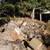 Firewood 2 thumbnail