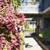 $800 off First Month Rent with Look and Lease Special 13 thumbnail