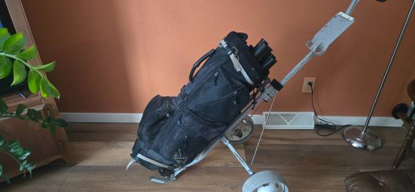 Gold bag and pull cart 1