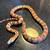 Pine snake, Durango Mt King, Corn snake 6 thumbnail