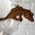Lily white crested geckos 8 thumbnail