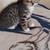 Cute Kittens 3 thumbnail