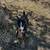 Rat terrier 5 thumbnail