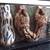 Three LARGE Exo Terra Terrariums with Custom Backgrounds 2 thumbnail