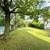 Move In Ready- Three Bedroom- Classic Character- Modern Updates 12 thumbnail