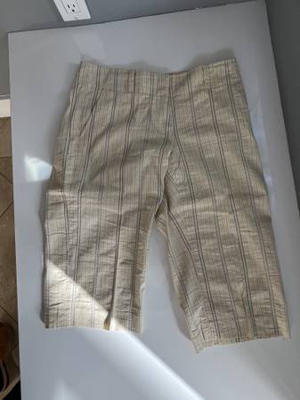 Women's Theory long shorts 1