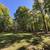 3 Bedroom Home tucked away in the woods 3 thumbnail