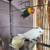 Love bird 9 thumbnail