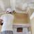 Handyman 321-557-1621 5 thumbnail