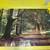 VTG 1974 Poster Forest Path in Springtime English Countryside  Poster 1 thumbnail