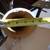 Large Plastic Pipe 3 thumbnail