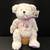 2 RELAY FOR LIFE- AMERICAN CANCER SOCIETY 2003, 2005 BEARS… MINT WITH TAGS 2 thumbnail