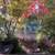 $1100 Downtown Cloverdale - Shared home 2 thumbnail