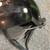 Motorcycle Helmets $20 EACH 12 thumbnail