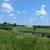 Farm Land for Monthly Rent - Great Hobby Farm 10 thumbnail