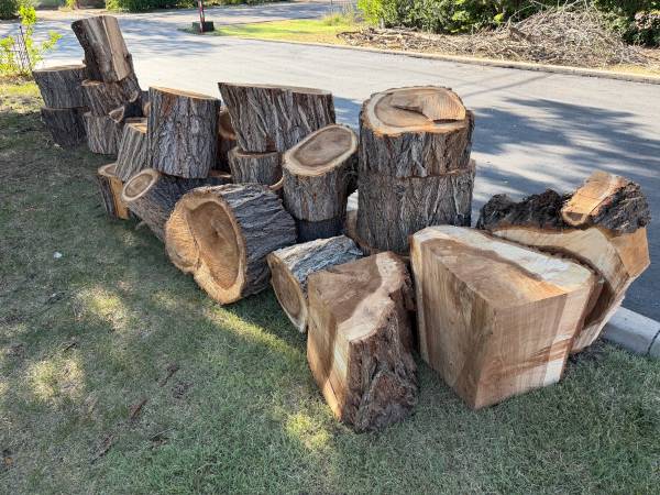 Firewood 1
