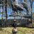 Antique Rooster Weathervane With Cupola. 2 thumbnail