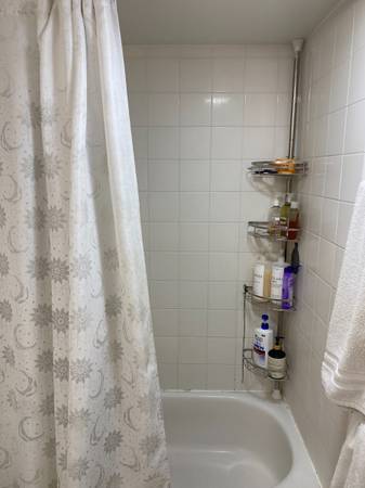 $1,985 / 1br - 543ft2 - 1133Waimanu St. # 908 (Honolulu)63939658504194123