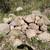 Landscape Rocks Gate or Driveway 6 thumbnail