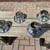 Ford Chrome Wheel Hub Covers 5 thumbnail