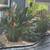 Landscape & design, irrigation, pressure washing, gutter cleaning 24 thumbnail