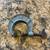 Antique Pony C-Clamp 1 thumbnail