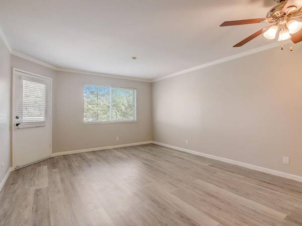 $3,495 / 2br - 982ft2 - Electrodomésticos SS, Piso de Vinilo, Gabinetes Blancos, Encimeras de Cuarzo! (san rafael)63785452861827120