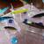 Eight (8) Suspended and Floating lures L-#56 10 thumbnail
