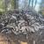 Seasoned hardwood firewood 1 thumbnail
