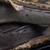 rare lake turkana senegal bichir fish 5 thumbnail