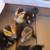 Ducklings Hatched 7/8 3 thumbnail