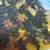 Seaside Painting of Palms by Artist Christine Holder. Best offer! 4 thumbnail